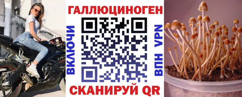 Псилоцибиновые грибы Psilocybe  Певек 