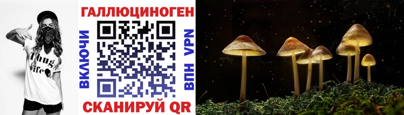Псилоцибиновые грибы ЛСД Певек